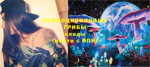 хмурый Алзамай