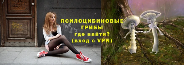 хмурый Алзамай