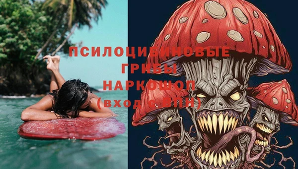 хмурый Абинск