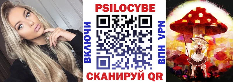 где продают наркотики  Ессентукская  блэк спрут ссылка  Псилоцибиновые грибы мицелий 