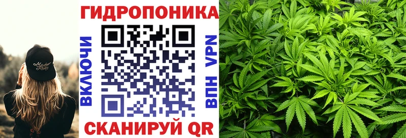 МАРИХУАНА гибрид  hydra ссылка  Ессентукская  где купить  